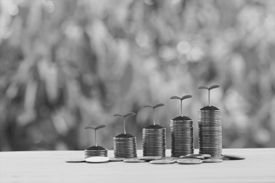 Capital efficiency and optimization